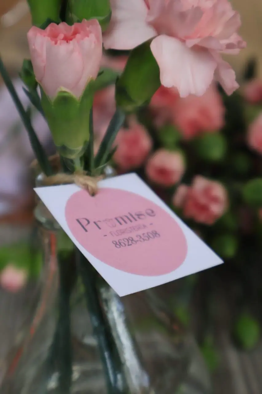 Pasión por las Flores