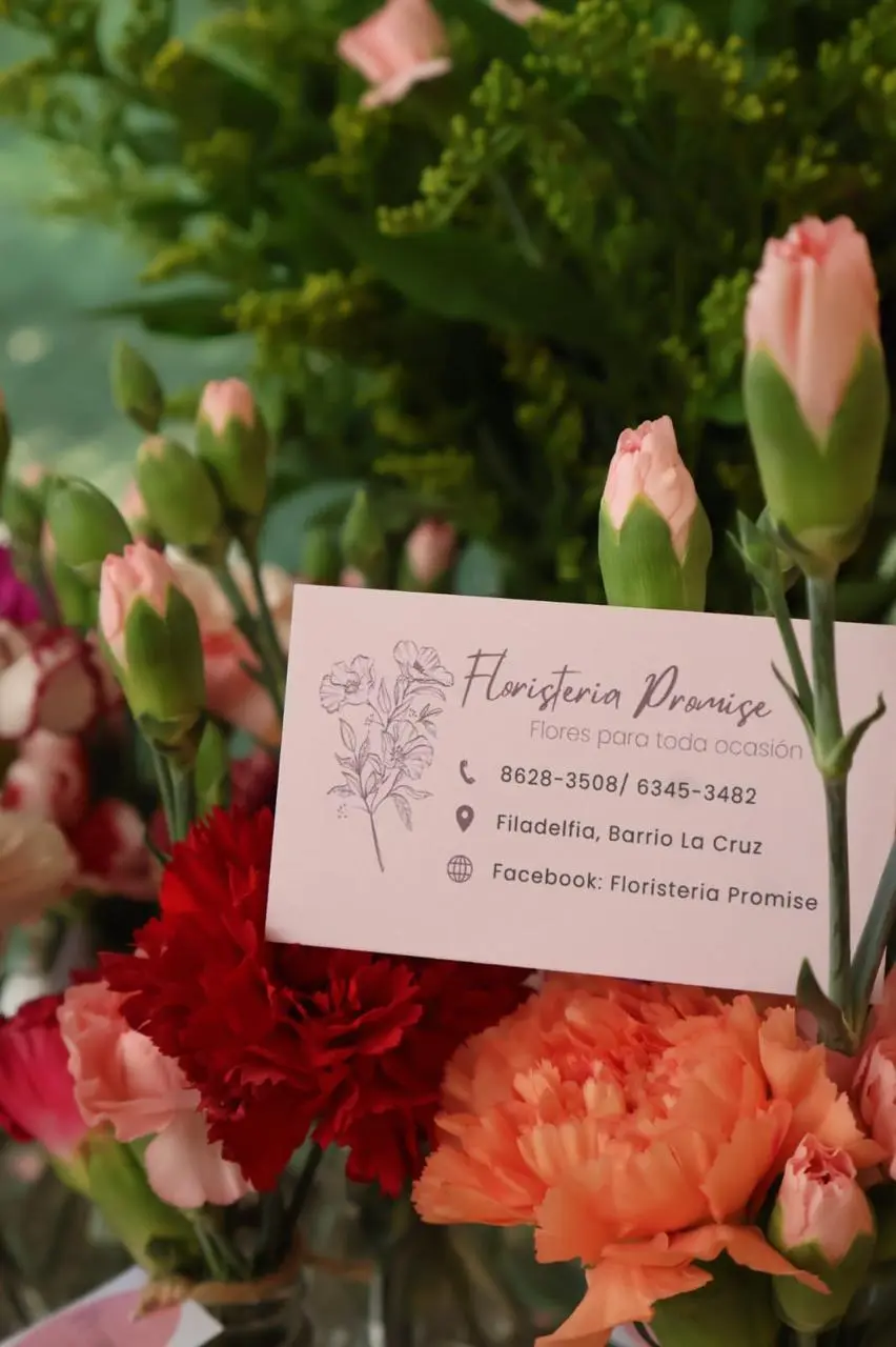 Nuestra floristería Promisse